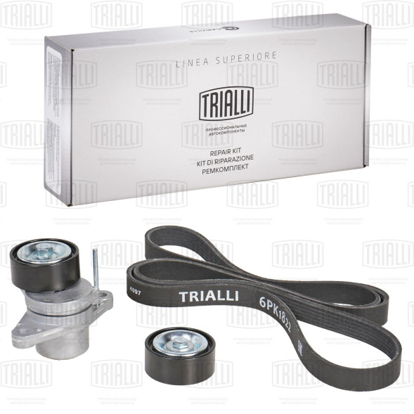 Ремкомплект генер. (ремень 6PK1822+2 ролика) RENAULT Logan (GD 717) TRIALLI