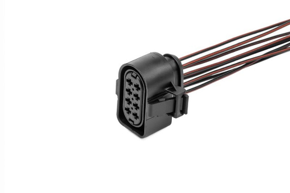 Колодка-разъем FEP 8-ми конт. к блок-фаре,ДПДЗ, эл/дв. стеклопод. VAG (Skoda,Audi,VW ) CARGEN AX4362