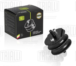 Подушка двигателя в сборе ВАЗ 2101-2107 (RM 0101) TRIALLI